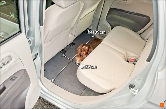 4名乗車（後席）