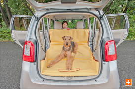 後席背もたれを前に倒して荷室を最大の広さにセットした場合での装着例。  