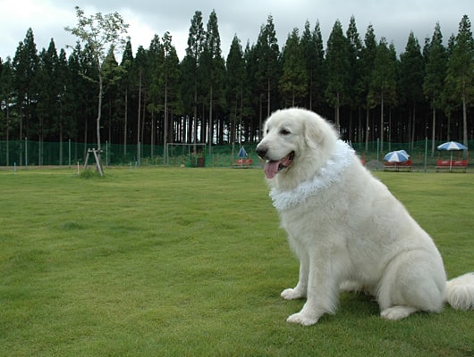 施設写真