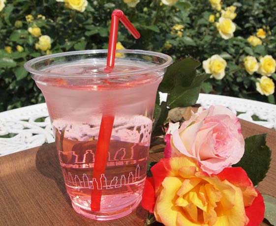 園内にあるカフェ・ハイビスカスの季節メニュー「ローズドリンク」