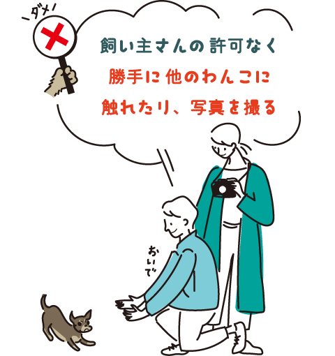 飼い主さんの許可なく勝手に他のわんこに触れたり、写真を撮る