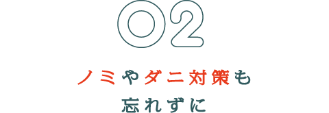 ノミやダニ対策も忘れずに