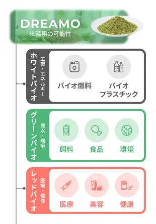 ホワイトバイオ、グリーンバイオ、レッドバイオへの活用の可能性