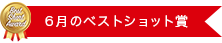 6月のベストショット賞