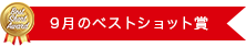9月のベストショット賞
