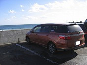 �C�ɂ̓I�����W��