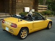 �����R�̎U���ɍō��ł��I