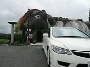 RN8����������TYPE R��