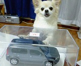 �N���������ČĂ΂�Ă鈤��