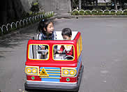 �Ƒ��𖣗��������̃N���}�I