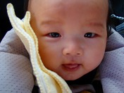 ���t�������́Y��