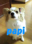 �����̃��b�L�[�J���[�E���b�h��