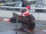 Honda�ւ��������`���I