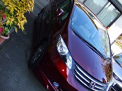 �G�R�m�~�[�I