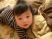 �ꂳ��ɂ��œK�ł���I