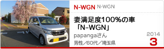 2014�N3���̉Ƒ���c��� N-WGN