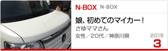 2015�N3���̉Ƒ���c��� N-BOX