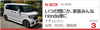 2020�N3���̉Ƒ���c��� N-BOX
