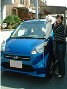 �����I�@�J���Ⴂ