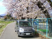 �ǂ�������������