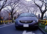 ���Ɍ��ꂽ��!!  ���z�̎�!!