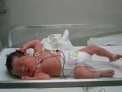 �����N��