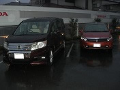 �g���g�����q