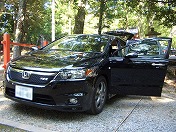 �f�B�[���[����̊�