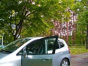 ���肱���t�B�b�g