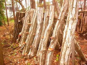 ���؉^����