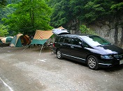 �y�������