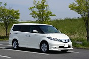 �q���g�͌�����