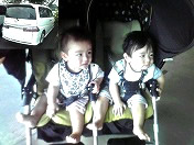 �o�q��������c