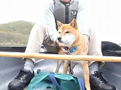 �I�[�g�L�����v�ɍs�������I