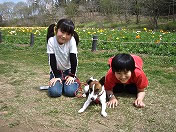 �y�������̏ꏊ