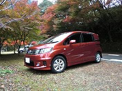 �����A���X�Ɗy����