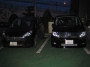 ���܂��܁A���ӍՂɗV�тɍs������c