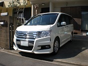 2�����̌��̖�