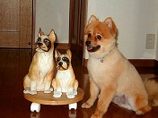 ���ꂩ��́A���̎Ԃ��I