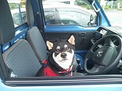 ����`���o���邩��?