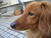 �s���������́c