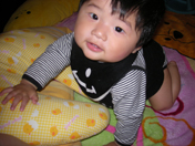 N BOX�Ɉ�ڂڂ�(:^^:)