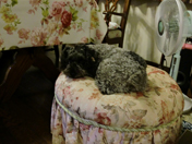 3��ڂ����͉��K�I