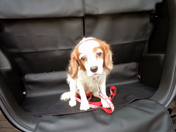 ����ς葦���I