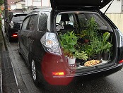 �t���[�}�[�P�b�g�ւ̂��Ԃ�ς�ł����o�w