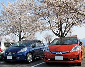 �Ȃ����3��ځI�y���߂���G�R�J�[