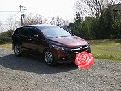 7�N�o���Ă��Ă��c