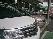 �I����ڂ���