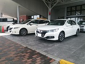 ���̗����