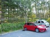 �t�B�b�g�V���g���n�C�u���b�h�I�񂾎��̂�